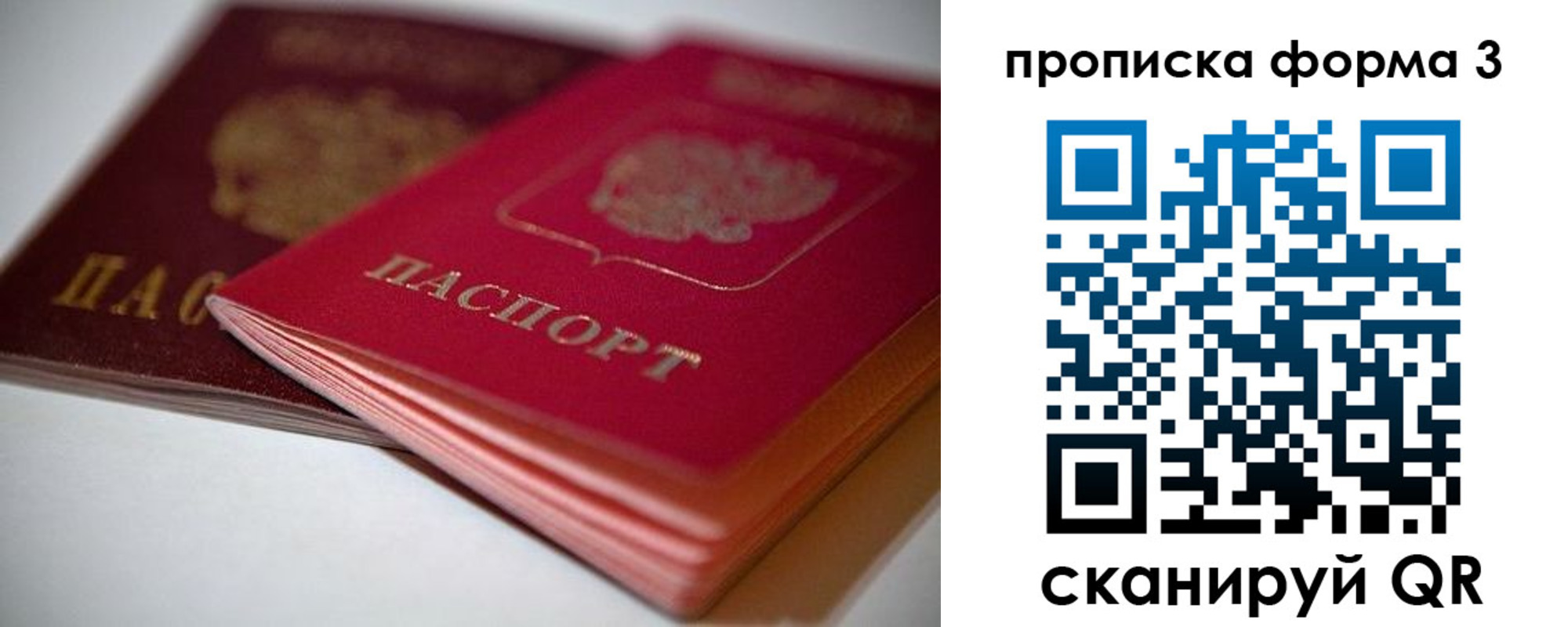 временная регистрация надежно в Хабаровском крае
